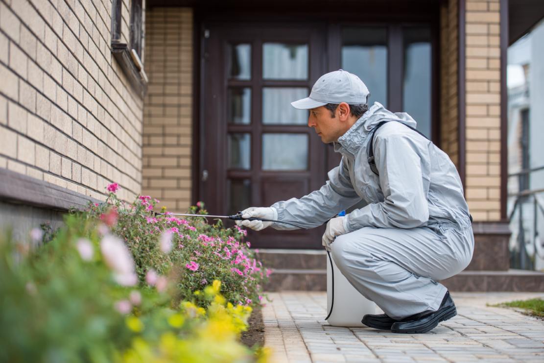 Securing Your Home’s Structure to Keep Pests Out